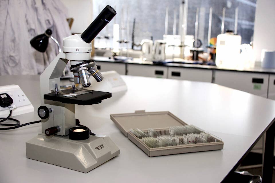 An Introduction to Anatomy and Physiology